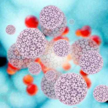 HPV Virüsü Hakkında Bilgi