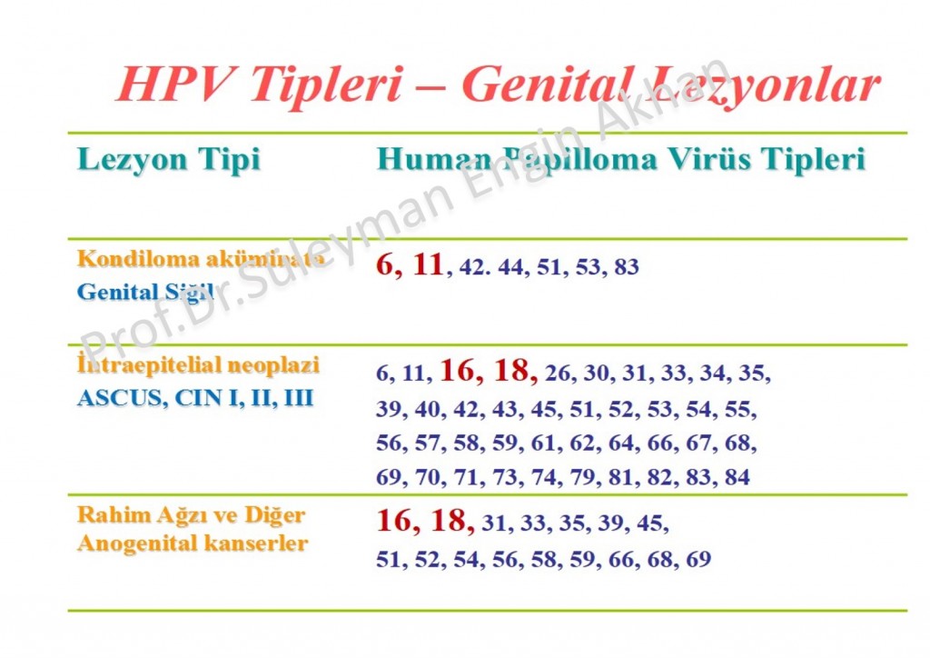 HPV Tipleri ve Hastalıklar
