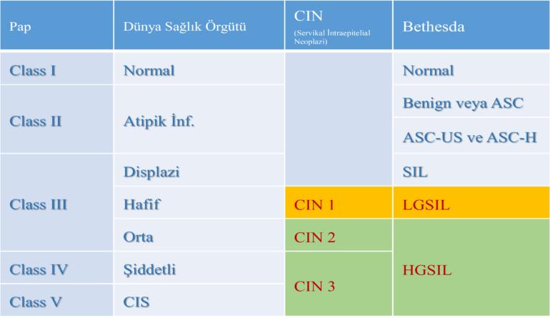 Rahim Ağzı Kanseri Öncülleri (ASCUS, CIN I, CIN 2,CIN 3, İnSitu Serviks Kanseri)