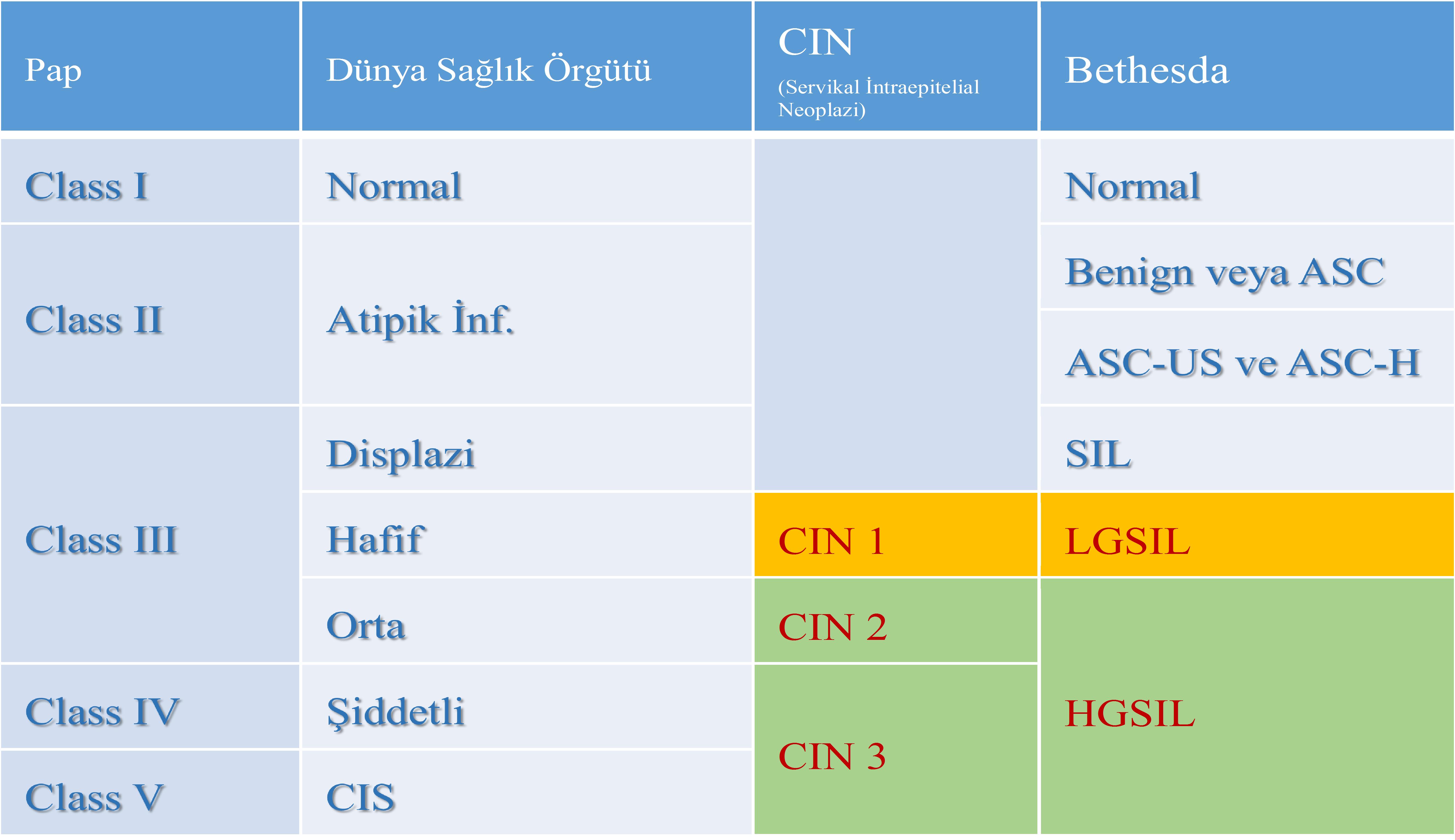 hpv cin nedir)