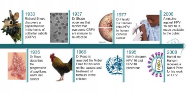 History: Genital Warts and Other Diseases Caused by HPV in History