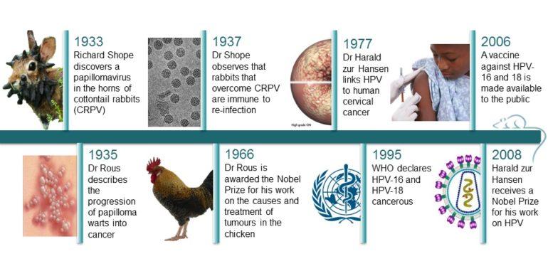 Tarihçe: Genital Siğil ve Tarihte HPV’nin neden olduğu diğer hastalıklar