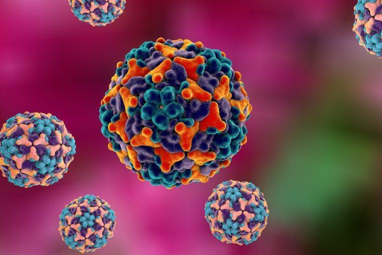 HPV Tipleri, Neden Olduğu Hastalıklar, Türkiye’de Genital Siğil ve Rahim Ağzı Kanseri Sıklığı