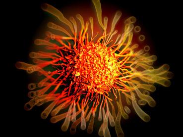 Rahim Ağzı Kanserinin (Serviks Kanserinin) Yayılma Yolları