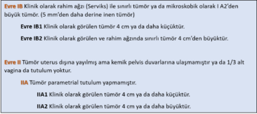 Stage IA2 and Stage IB / IIA1 Cervical Cancer Treatment