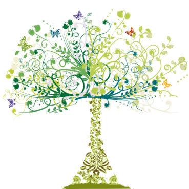 Vajina (Vagina) Kanseri ve HPV