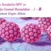Sizden Gelen Sorularla HPV Ve Neden Olduğu Hastalıklar 1-B